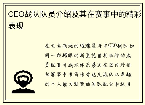 CEO战队队员介绍及其在赛事中的精彩表现